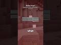 MINECRAFT WITH NO SOUND #minecraft #minecraftshorts
