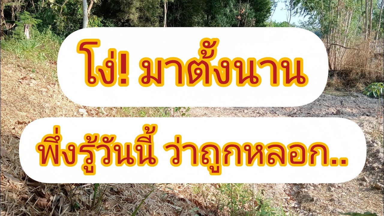 บอกแล้ว! อย่าเชื่อนักวิชาการ