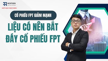 Liệu có nên bắt đáy cổ phiếu FPT khi cổ phiếu giảm mạnh?