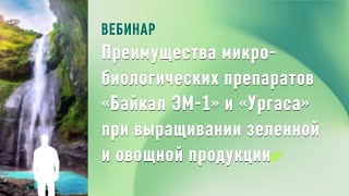 Онлайн-вебинар: Преимущества 