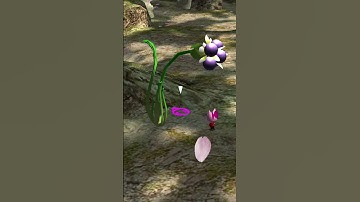 Easy Skips in Pikmin 2