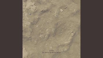 Denizkabuklusu (Seashell)