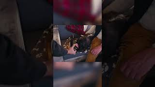 Hund und Herrchen im Restaurant: Aufregende Abenteuer für Hunde! #shorts