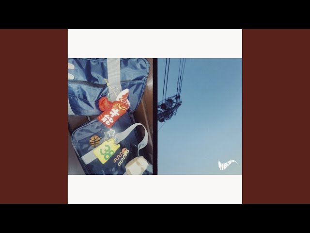 才能NEW!サバシスター