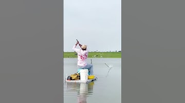 #shorts đam mê câu lure câu cá giải trí #676 #fishing #cauca