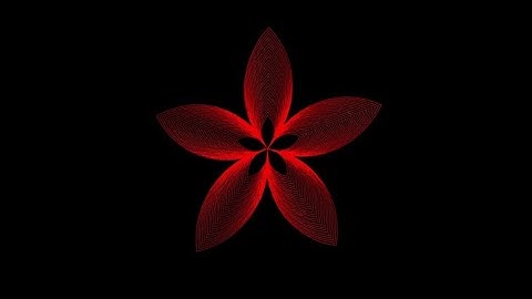 Just 11 Lines of Code to Make this In PYTHON | Flower Python Code.