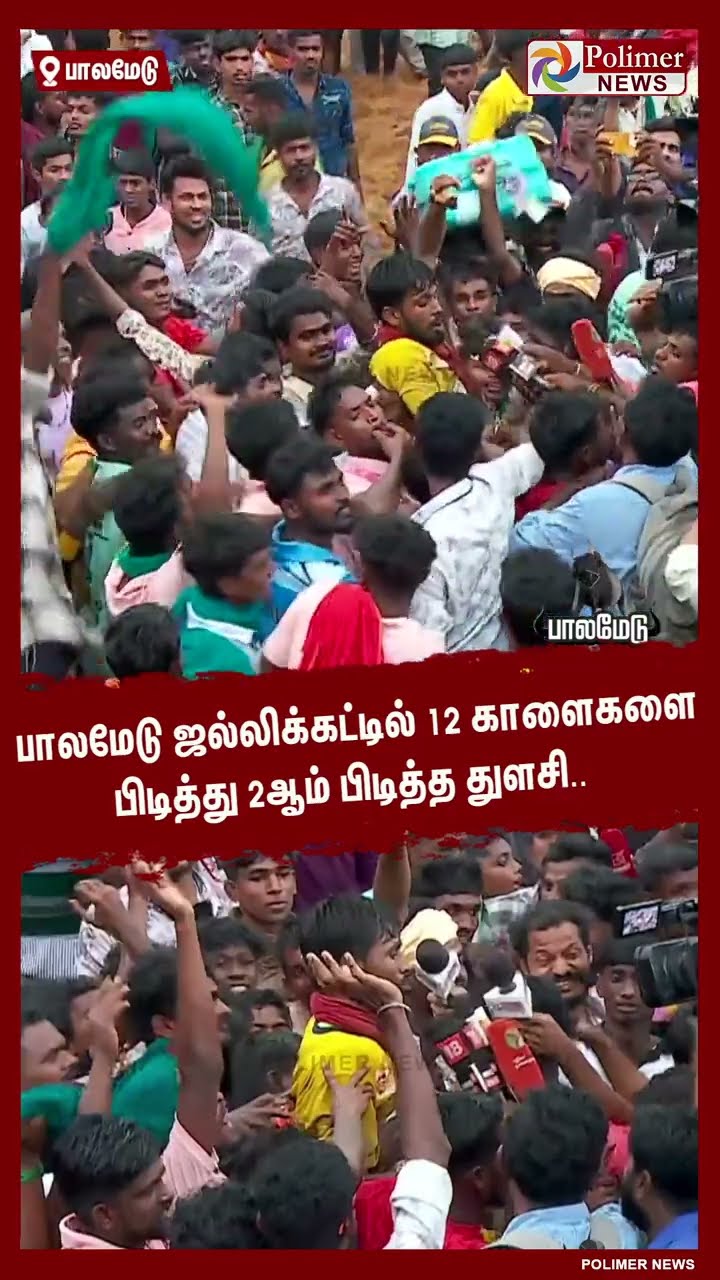 பாலமேடு ஜல்லிக்கட்டில் 12 காளைகளை பிடித்து 2ஆம் பிடித்த துளசி..  #shorts | #palamedujallikattu