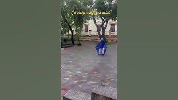 Cá Chép vượt vũ môn.#shortvideo