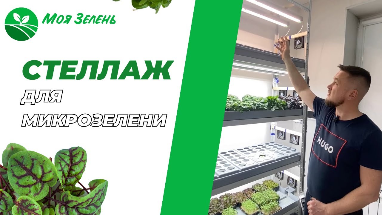 Стеллаж для микрозелени своими руками - YouTube