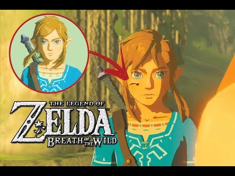 Video: I Fan Di Zelda: Breath Of The Wild Sbattono Mentre La Corsa Degli Uccelli Sembra Confermare La Teoria Della Cronologia