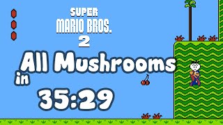 Super Mario Bros. 2 - All Mushrooms in 35:29