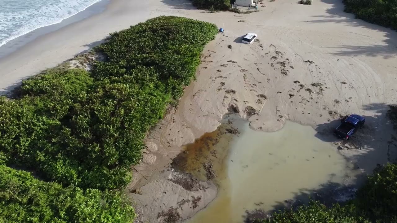 St. Lucie County Volunteer Planting at Walton Rocks Beach