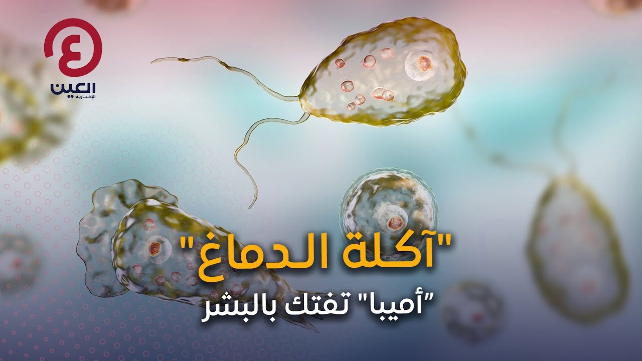 آكلة الدماغ