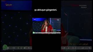 Şu Akkuşun Gürgenleri.. Ordu Türküsü