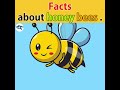 #5facts about madhumakkhi 🐝.. #bees #honey #honeybee #factscollab #facts #4fact #queen #mastfacts