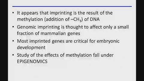 15 04 Epigenomics