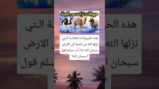 #قصص_واقعية #معلومات_عامة