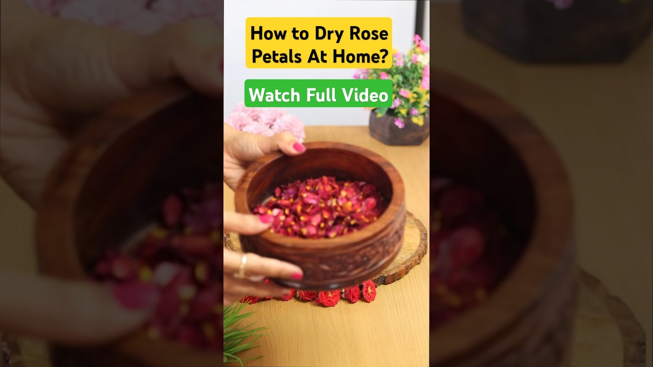 How to Dry Rose Petals for Eating | DIY Dry Rose Petals | Step-by-Step Guide |Dried Rose Flower| DIY