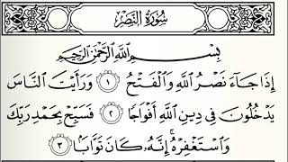 سورة النصر القارئ بدر التركي