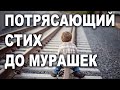 Очень трогательный стих "СТРЕЛОЧНИК". До слёз!