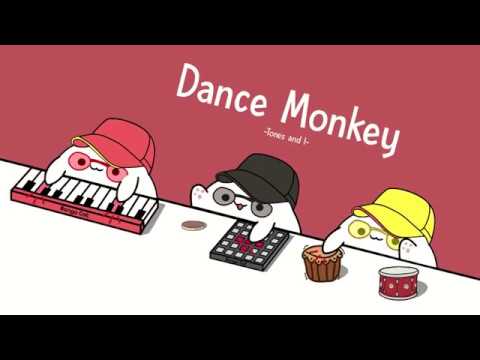 5-minutos-de-dance-monkey-miau-miau-by-bongo-cat