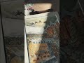 Мой Подарок подруге! Это Жора- он же Жорж Пожуй! Который настоящий гурман, когда-то съел мои часы!