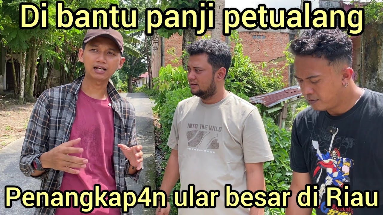 PANJI PETUALANG SAMPAI TURUN TANGAN BANTUIN PENANGKAP4N ULAR BESAR DI RIAU