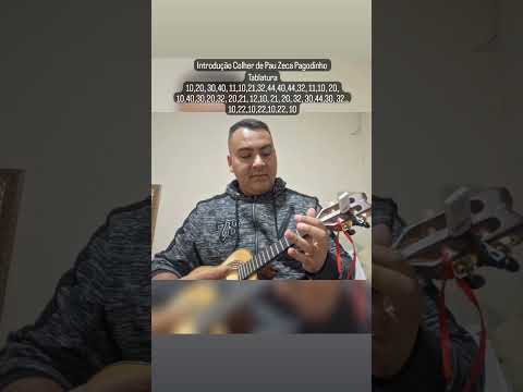 Zeca Pagodinho /