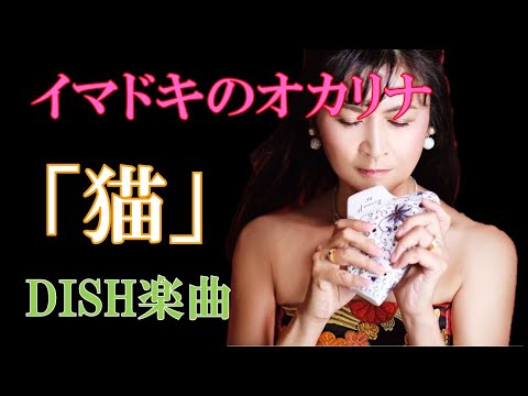 【イマドキのオカリナ】猫：DISH//楽曲【オカリナで吹いてみました： 西村麻衣子】