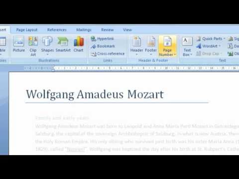 professional word document