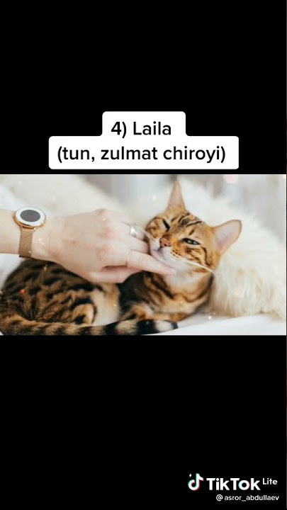 Dragdagi trannies haqida porno videolarni tomosha qiling