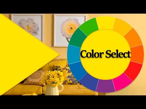 Vídeo: Com triar els colors a l'interior: consells, idees i fotos