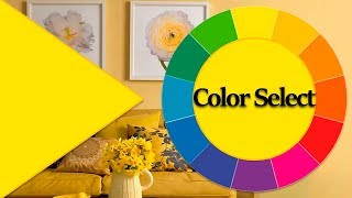 💗 Designer Paint Color Ideas. Interior Design Paint Tips. Interior Color Design.