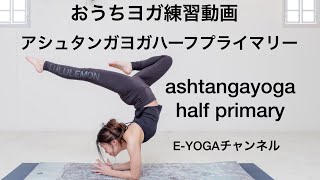 アシュタンガヨガ　プラクティス アシュタンガ プラクティス・マニュアル (デヴィッド