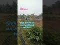 அழகிய பண்ணை நிலம் விற்பனைக்கு சேலம் டு 30 கிலோமீட்டர் 9788320360