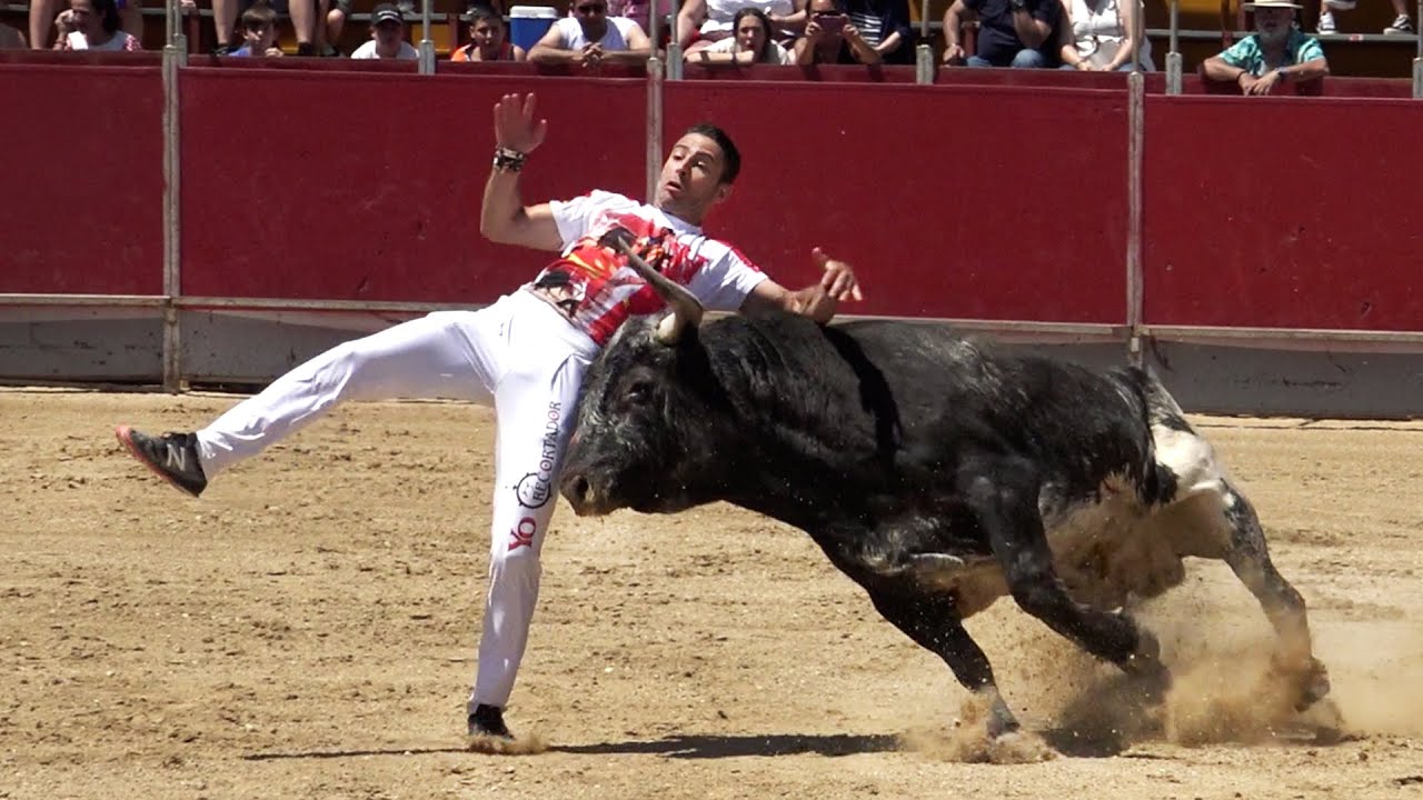 Ganaderías de toros bravos que se pueden visitar