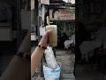 113 Year's old Sugarcane Juice shop