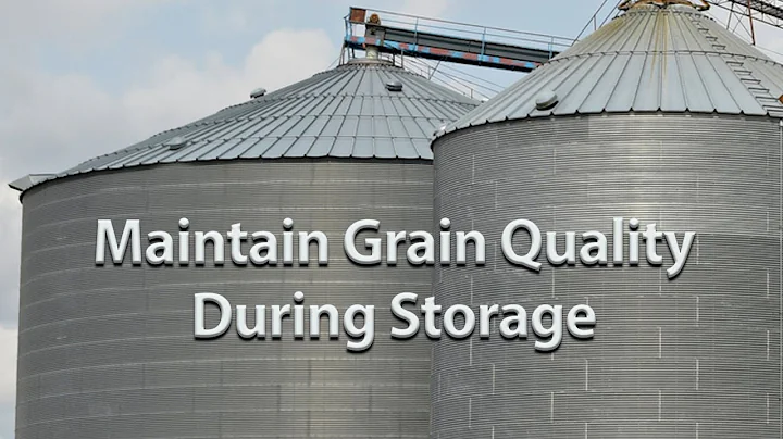 Maintain Grain Quality During Storage - DayDayNews