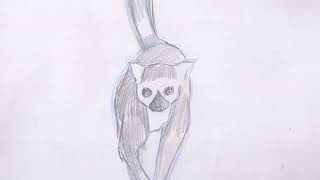 Final Morphing Animation