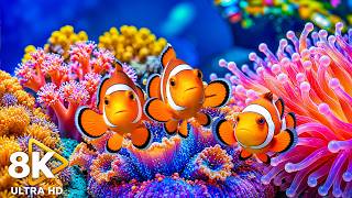 Aquarium 8K VIDEO (ULTRA HD) 🐠 Beautiful Clownfish & Colorful Coral Reefs - Relaxing Music for Sleep