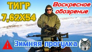 "Тигр и мороз".  Несостоявшийся зимний тест. (Carbine "Tiger". Failed new year's test.)