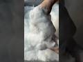 ASMR soap party #asmr #asmrsoap #satisfying #asmrfoam #soap