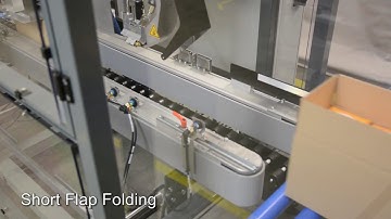 Lantech case sealer CS-1000 Hotmelt for supportive loads