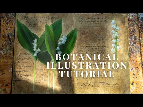 Video: Botanische tekeningen maken: hoe u uw eigen botanische illustratie kunt maken