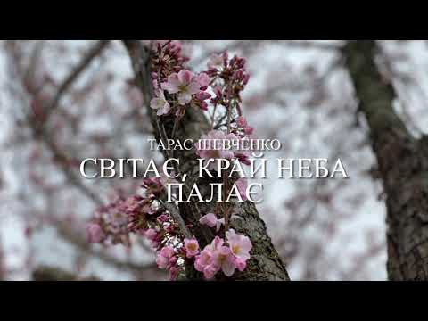 Тарас Шевченко «Світає,