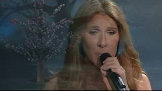 Video thumbnail of "Céline Dion - If I Could (Live in Las Vegas)"