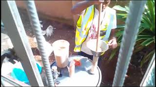 EcoGen Domestic Biogas Digester