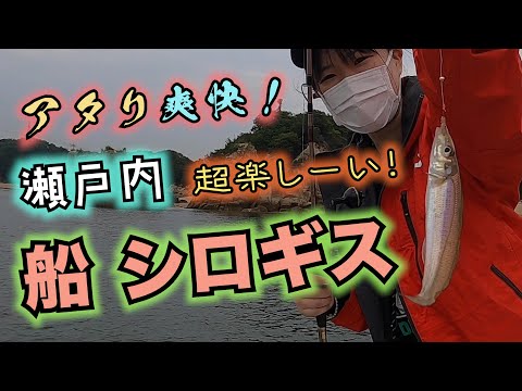 アタリ！爽快！梅雨の船キス釣りを満喫！ - YouTube