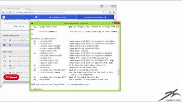How to download files in Windows command line using wget
