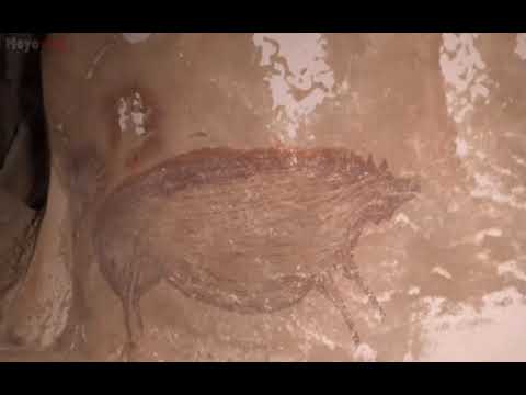 ⁣El cerdo verrugoso; el arte rupestre animal más antiguo registrado